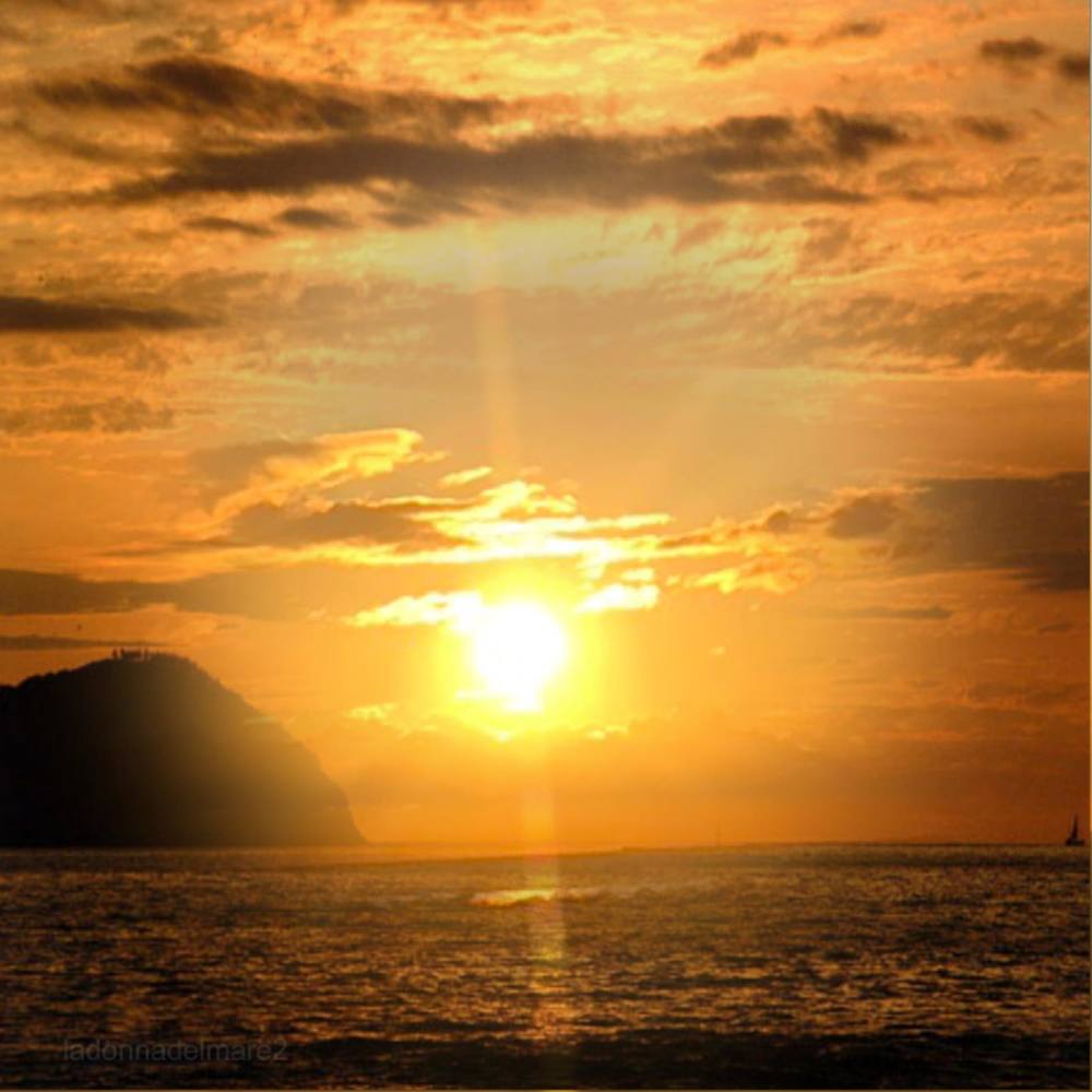 Meet your Posher, Maritza